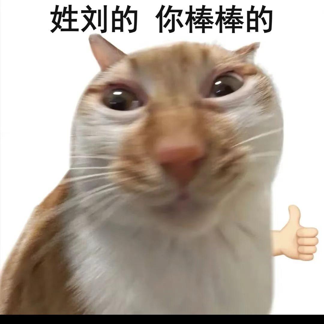会想恋.