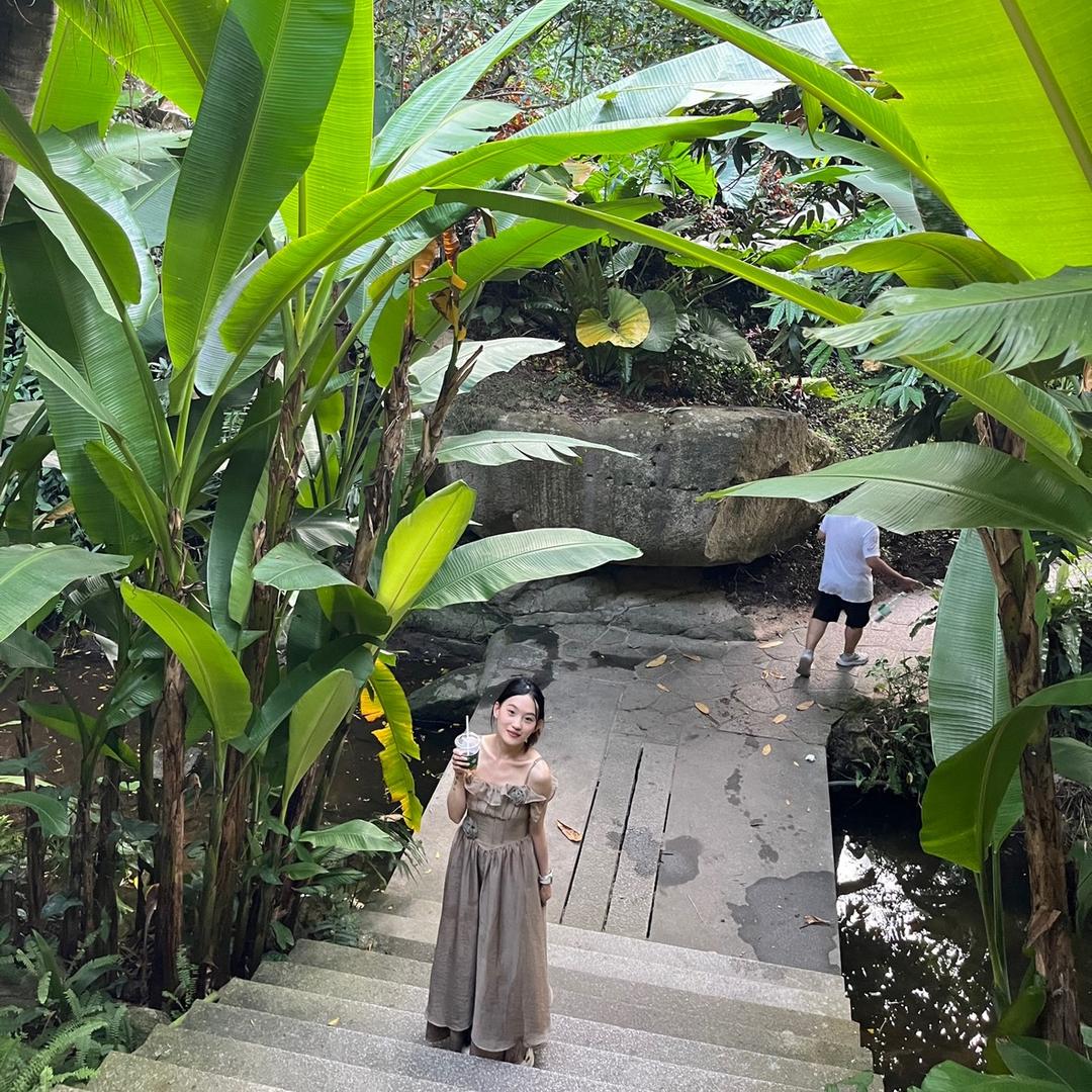 小马的奇幻漂流记