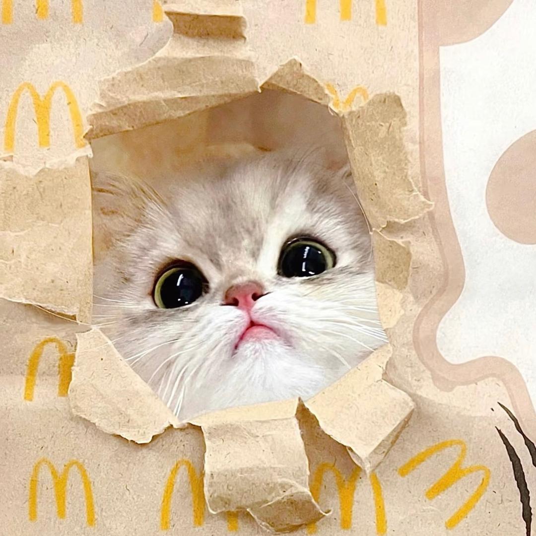 香蕉啵拿拿ᴶᵘᵉ🍮