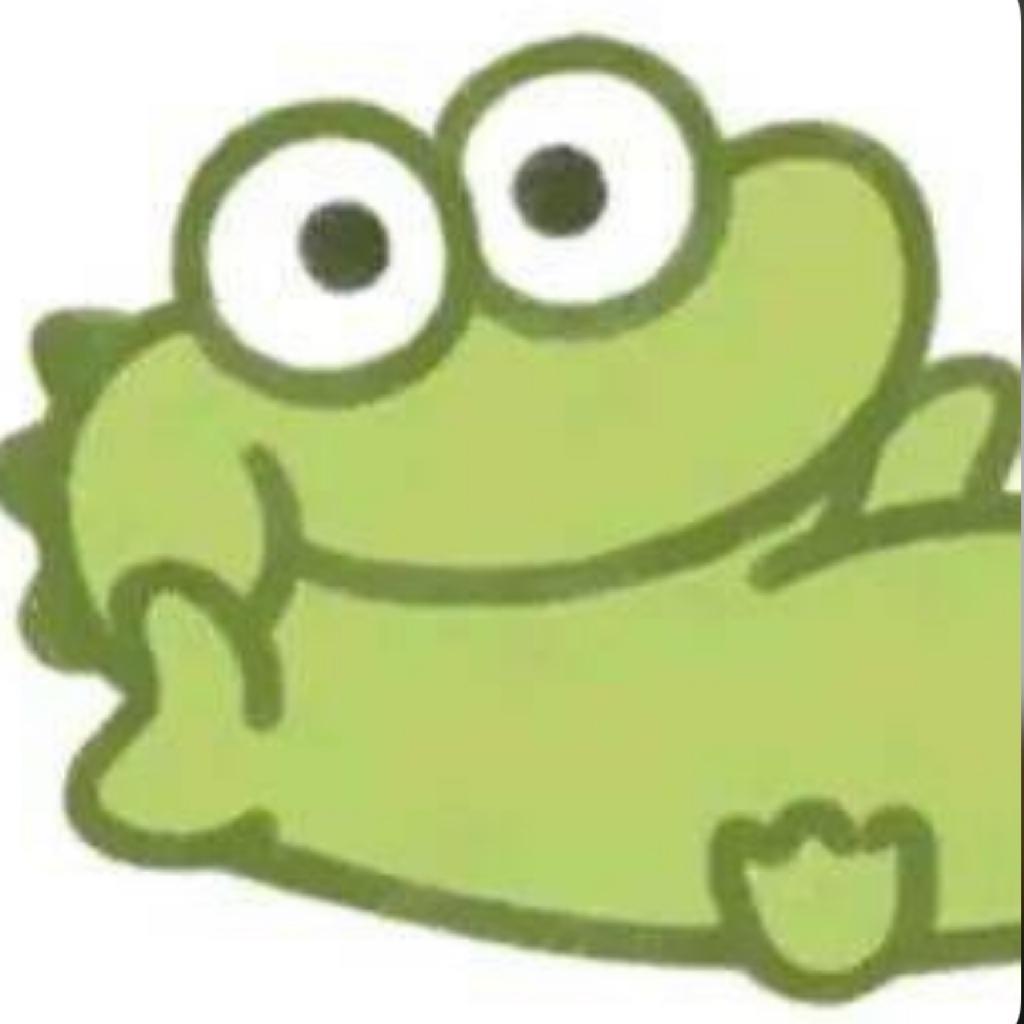 凯凯的Hong Qi🚩