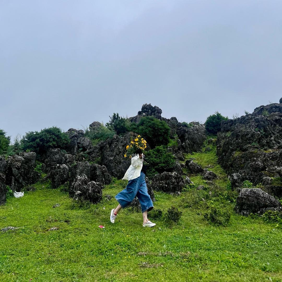 ᰔᩚ小菲干杂店