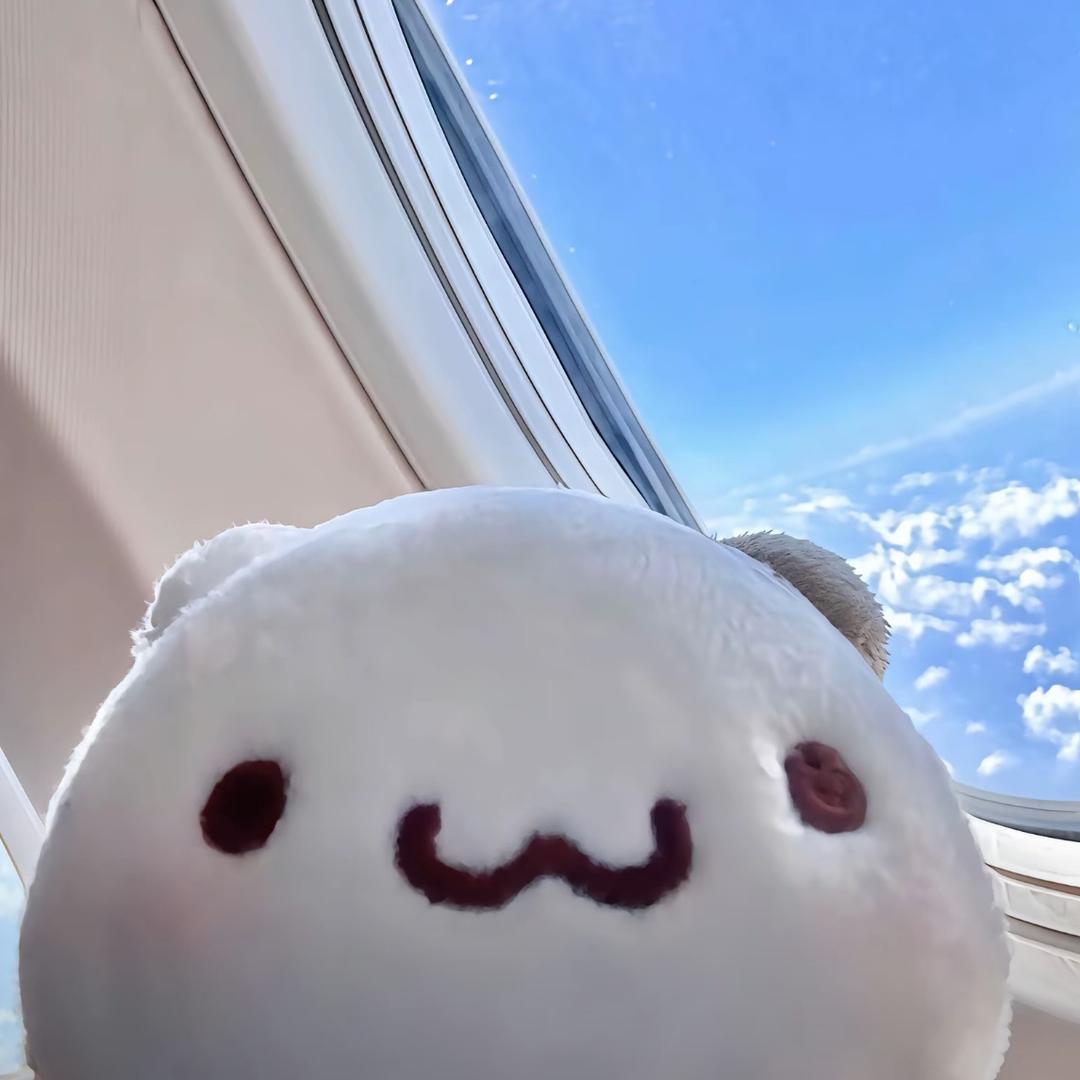 你有我帅吗