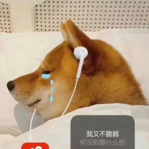 这里是评论区不是无人区