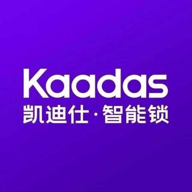 武汉凯迪仕智能锁-白沙洲店