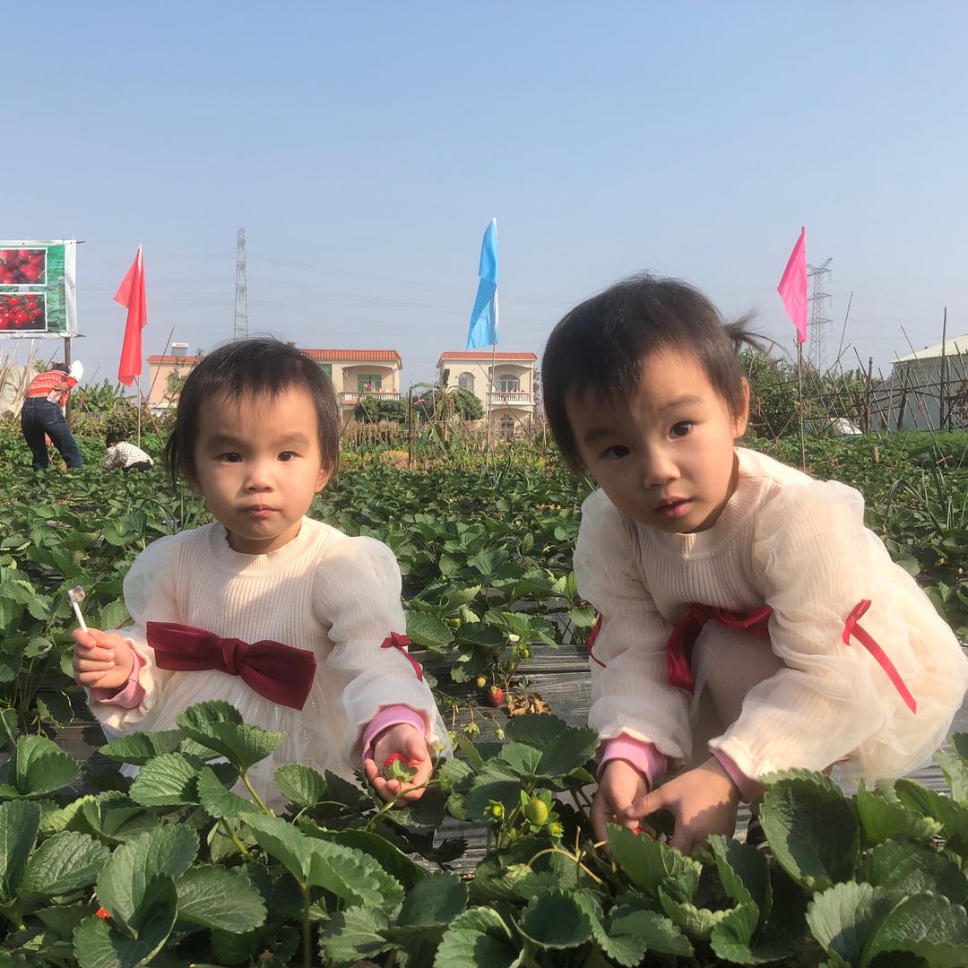 欣欣分享美食