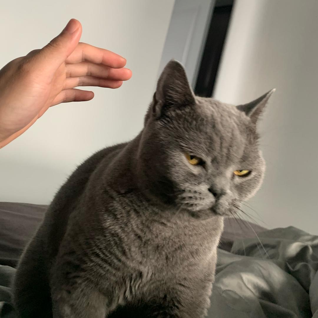 :)
