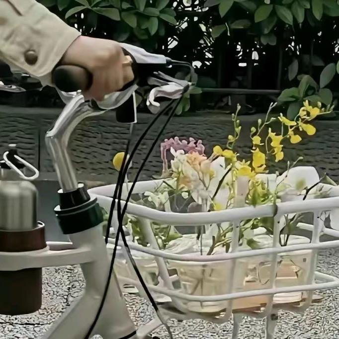 王当家