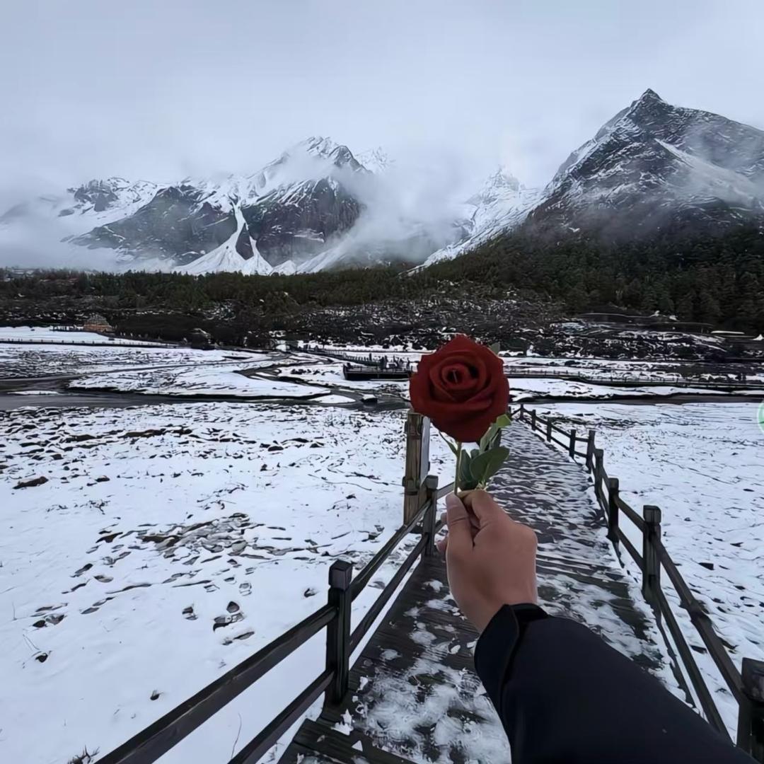 雪落山河念