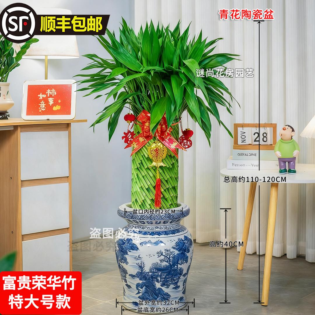 谜尚花屋