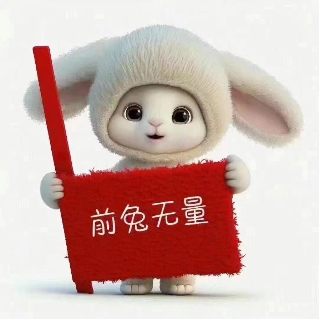 萌鸡小队队长