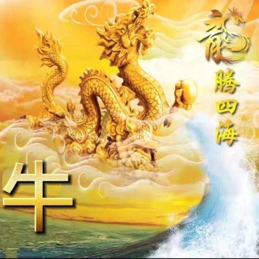 玖鼎