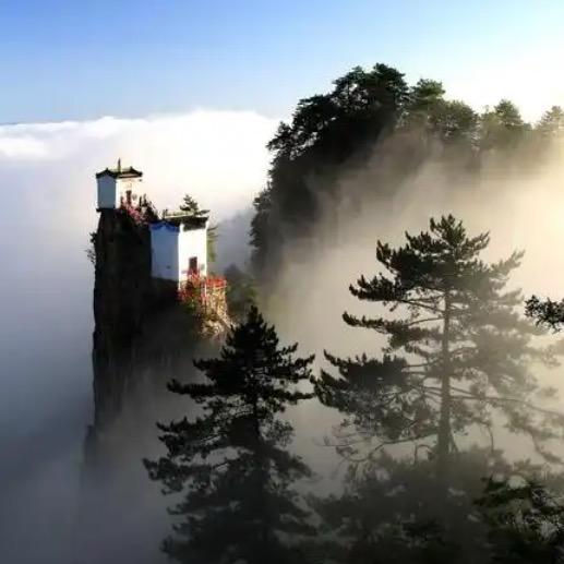灵溪居士
