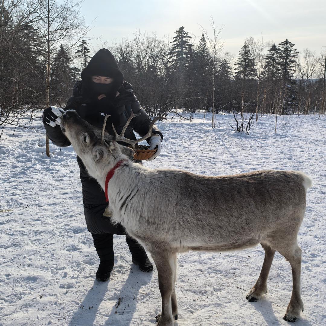 海遇露营地  浪漫线彩虹沙滩