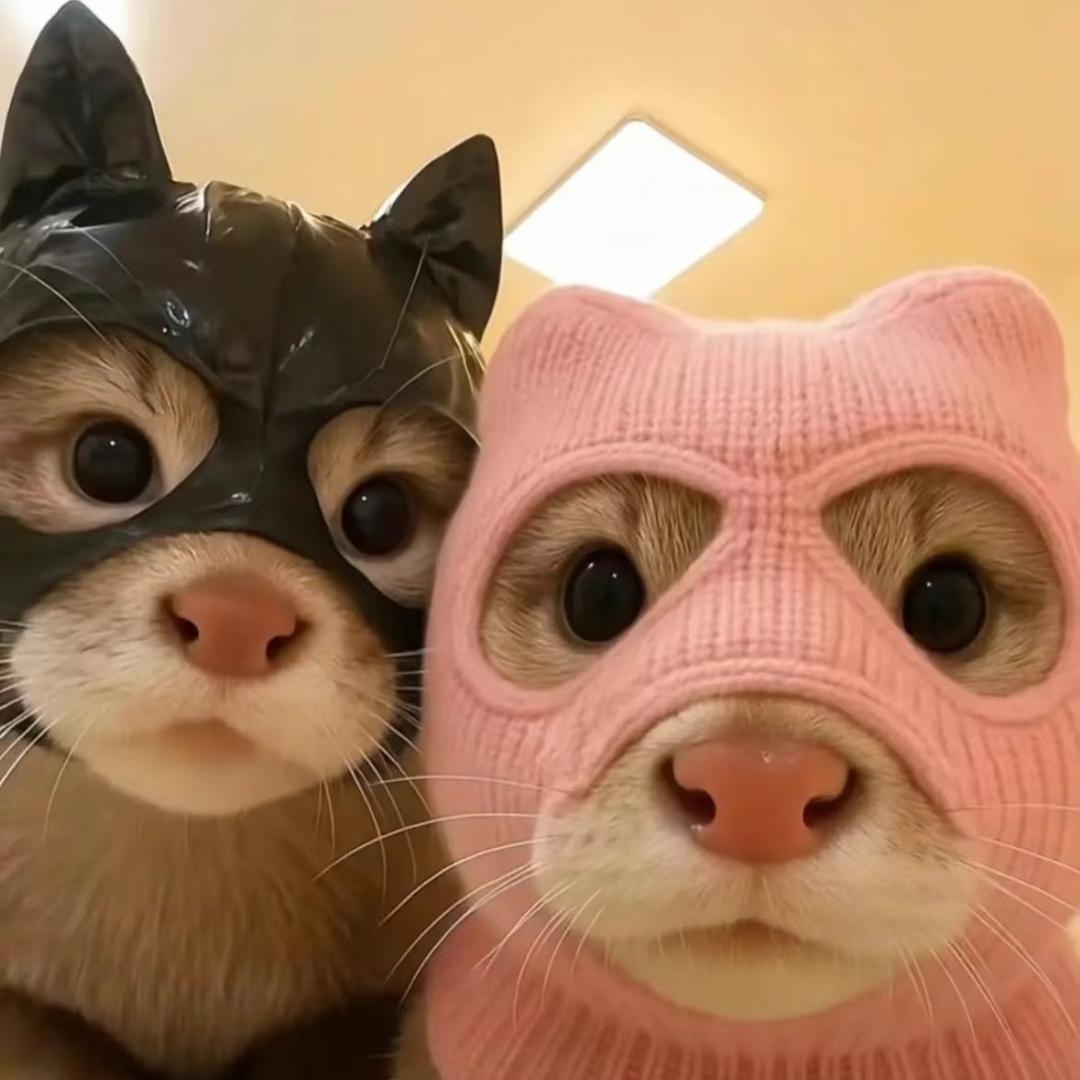 🐾