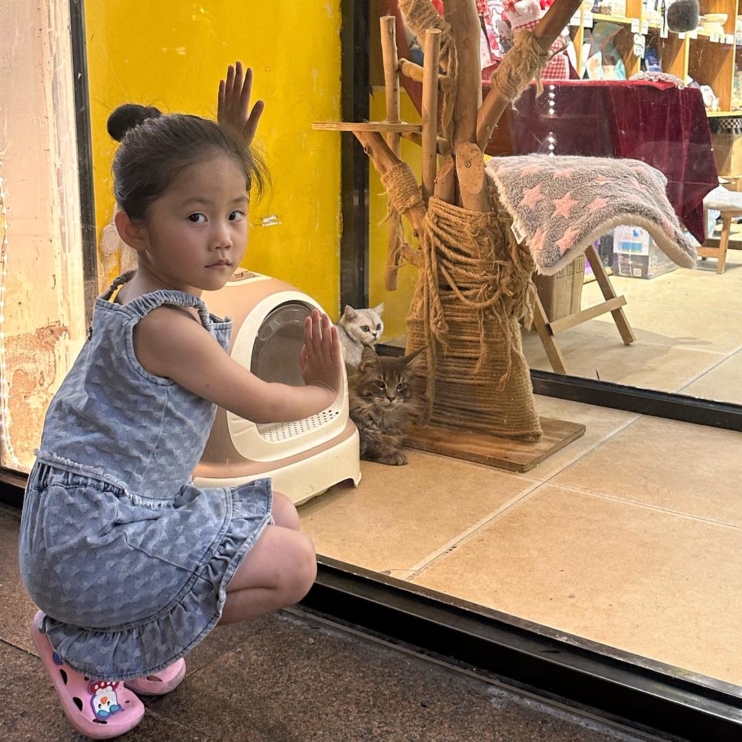 请叫我宝哥