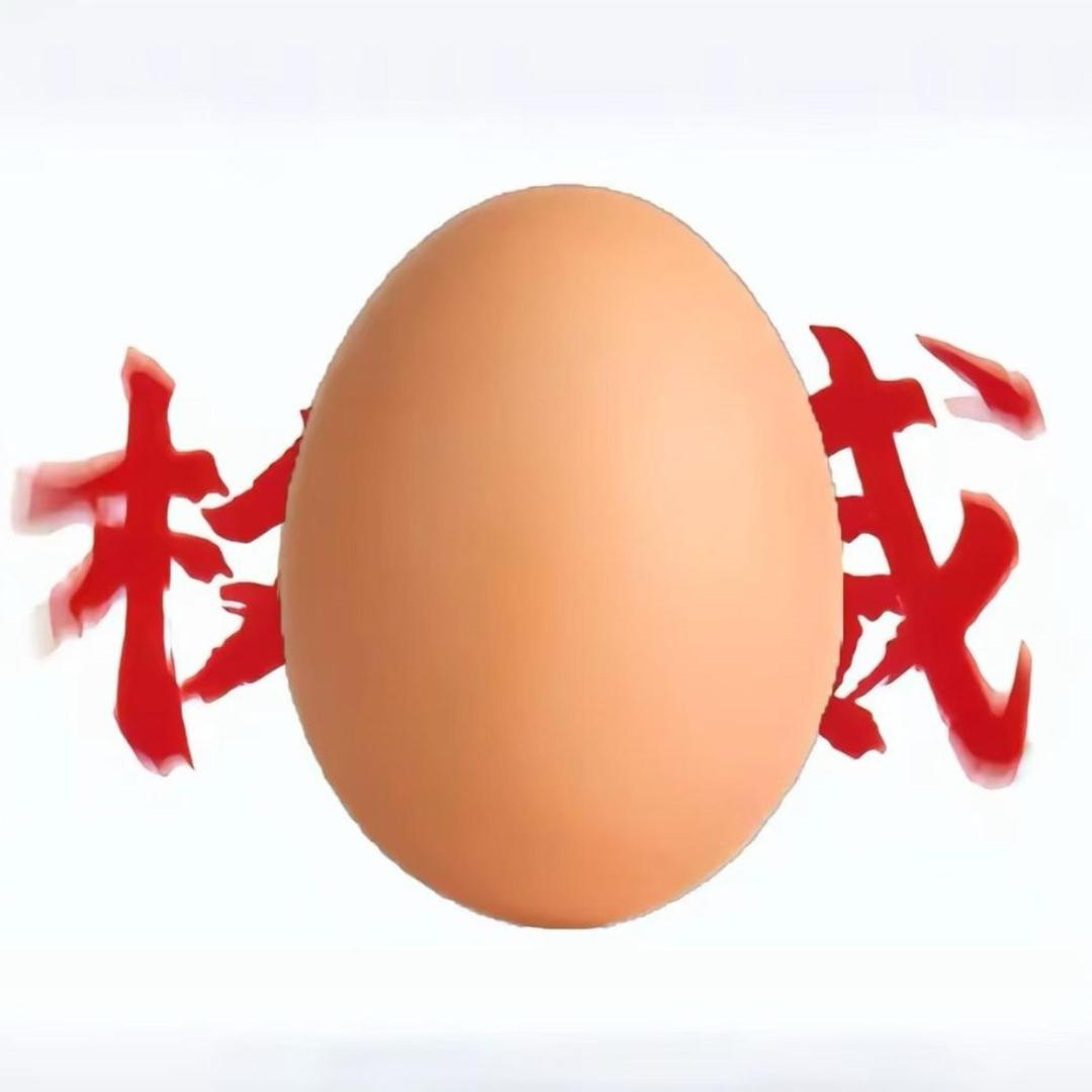 蛋蛋