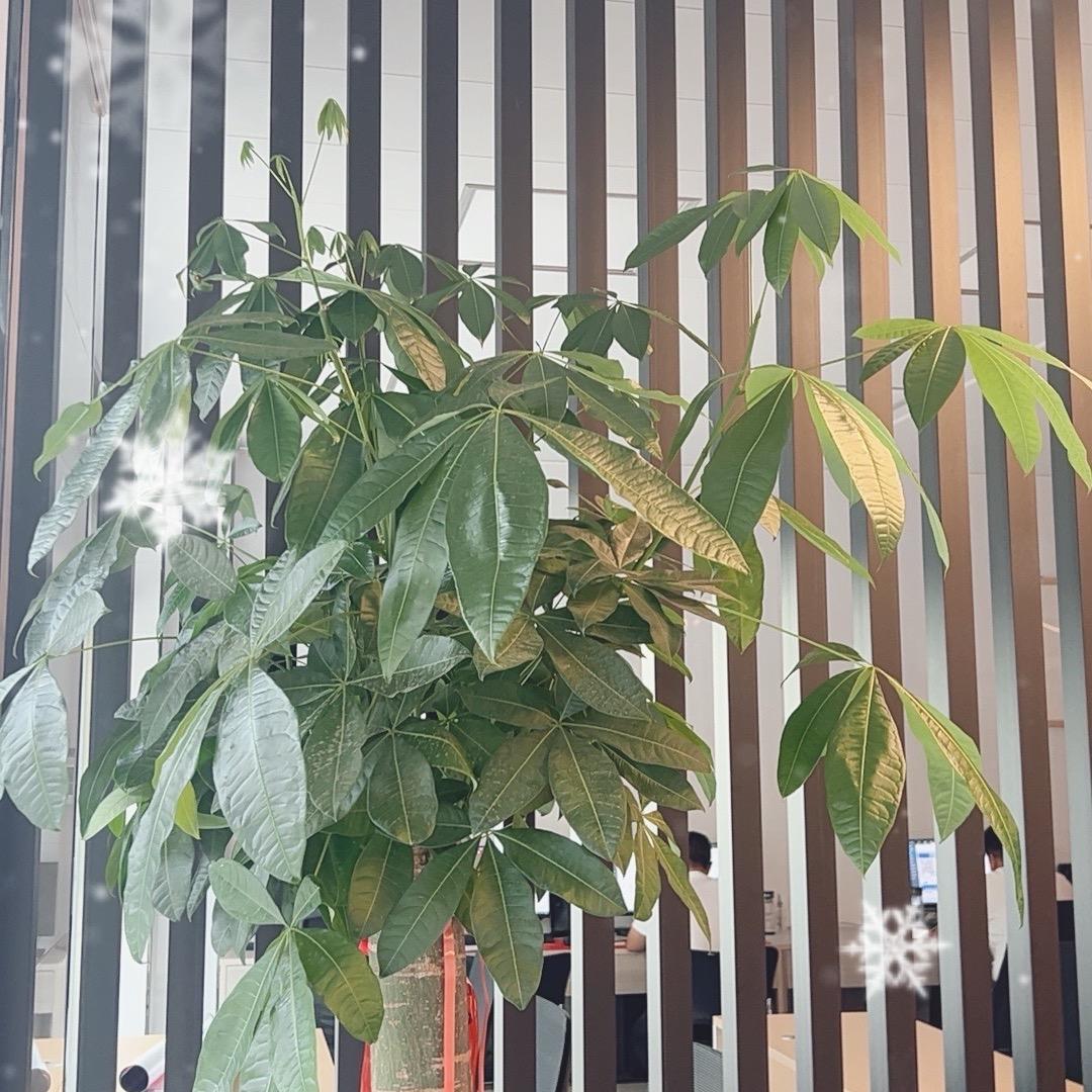 邯郸房产小郝