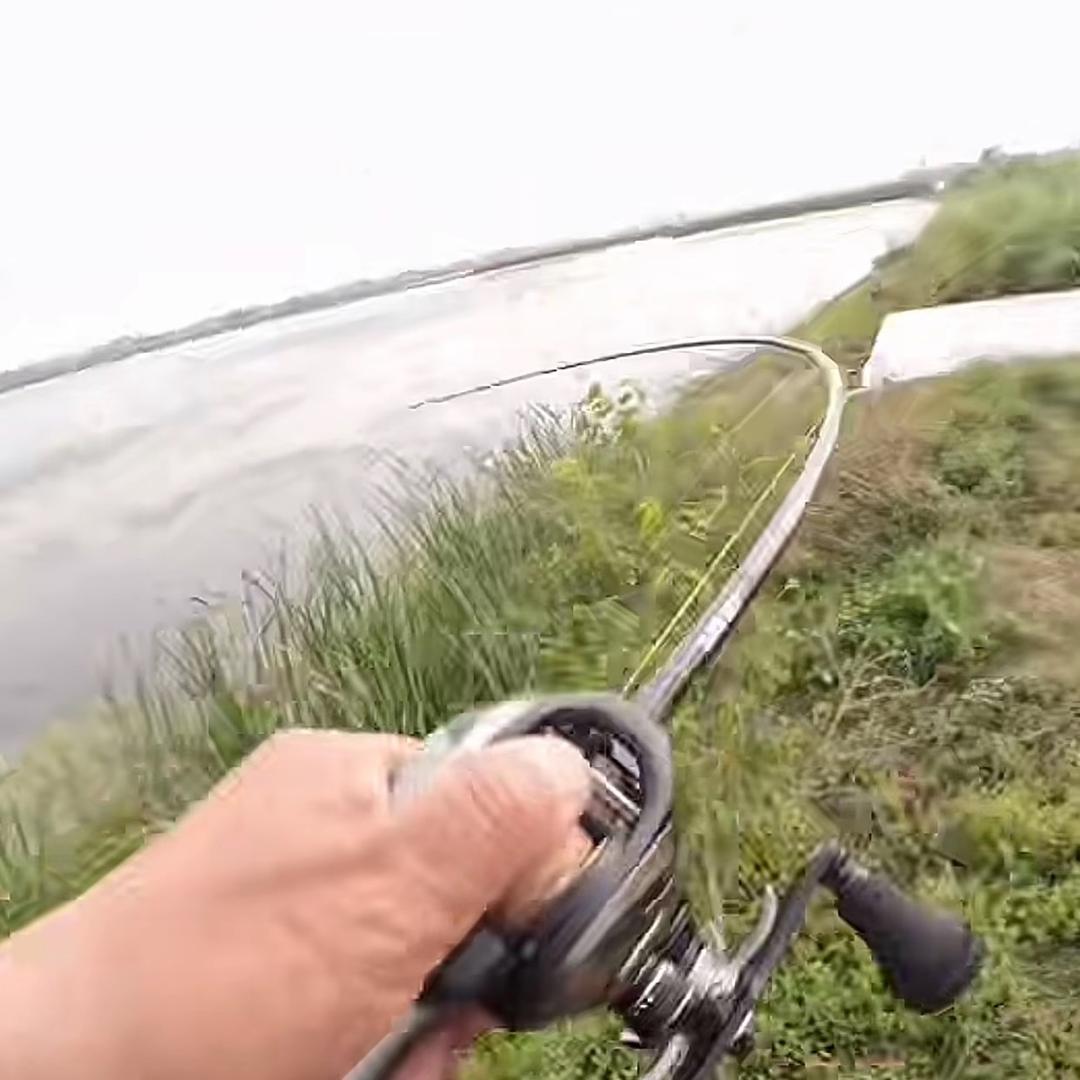 众源路亚(关公锚)