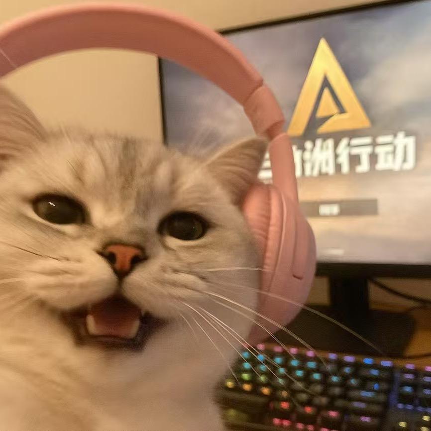 九九（三角洲）