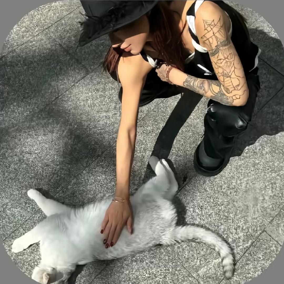 何芳芳