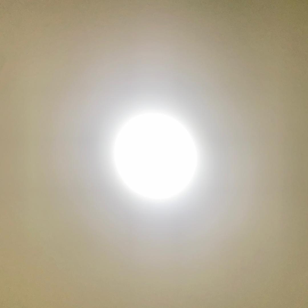 辛水木头像