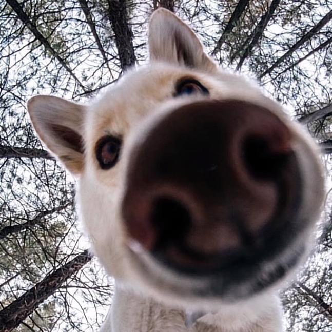 up