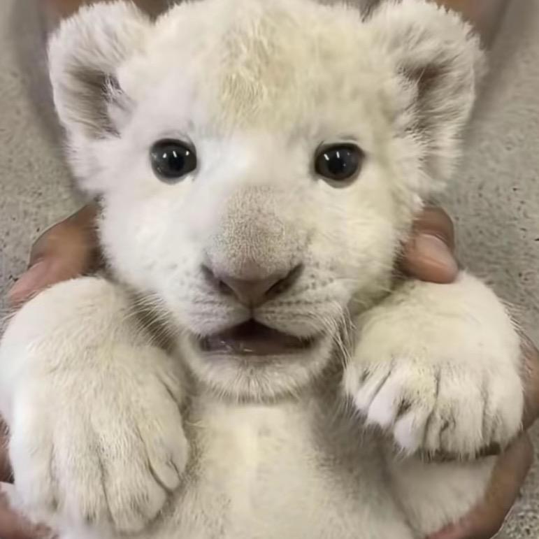 ￴￴   ￴ ￴ ￴￴￴