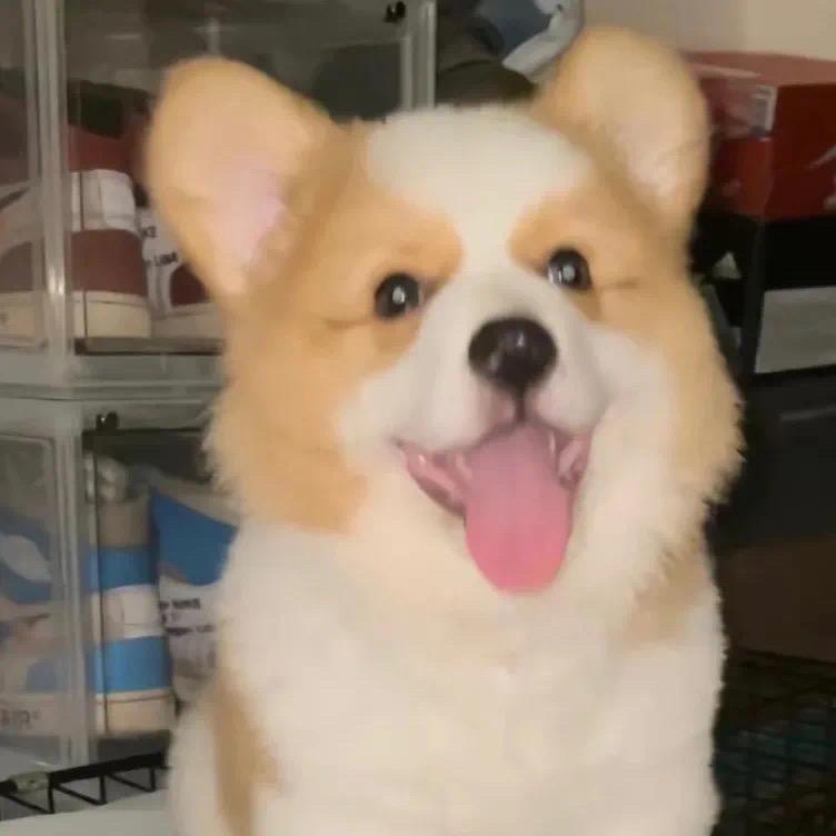 祈星OUO