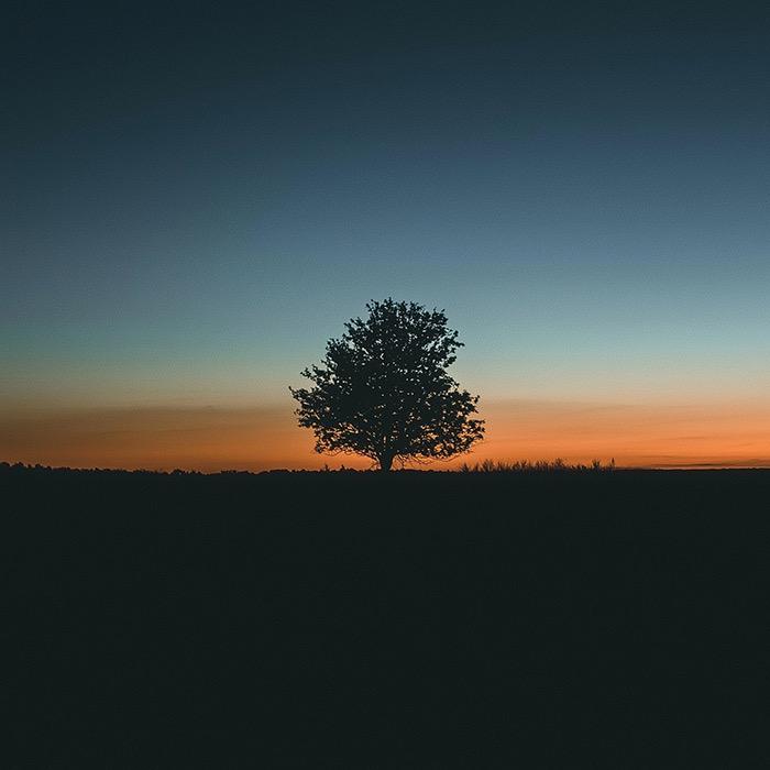 🌈Solitude