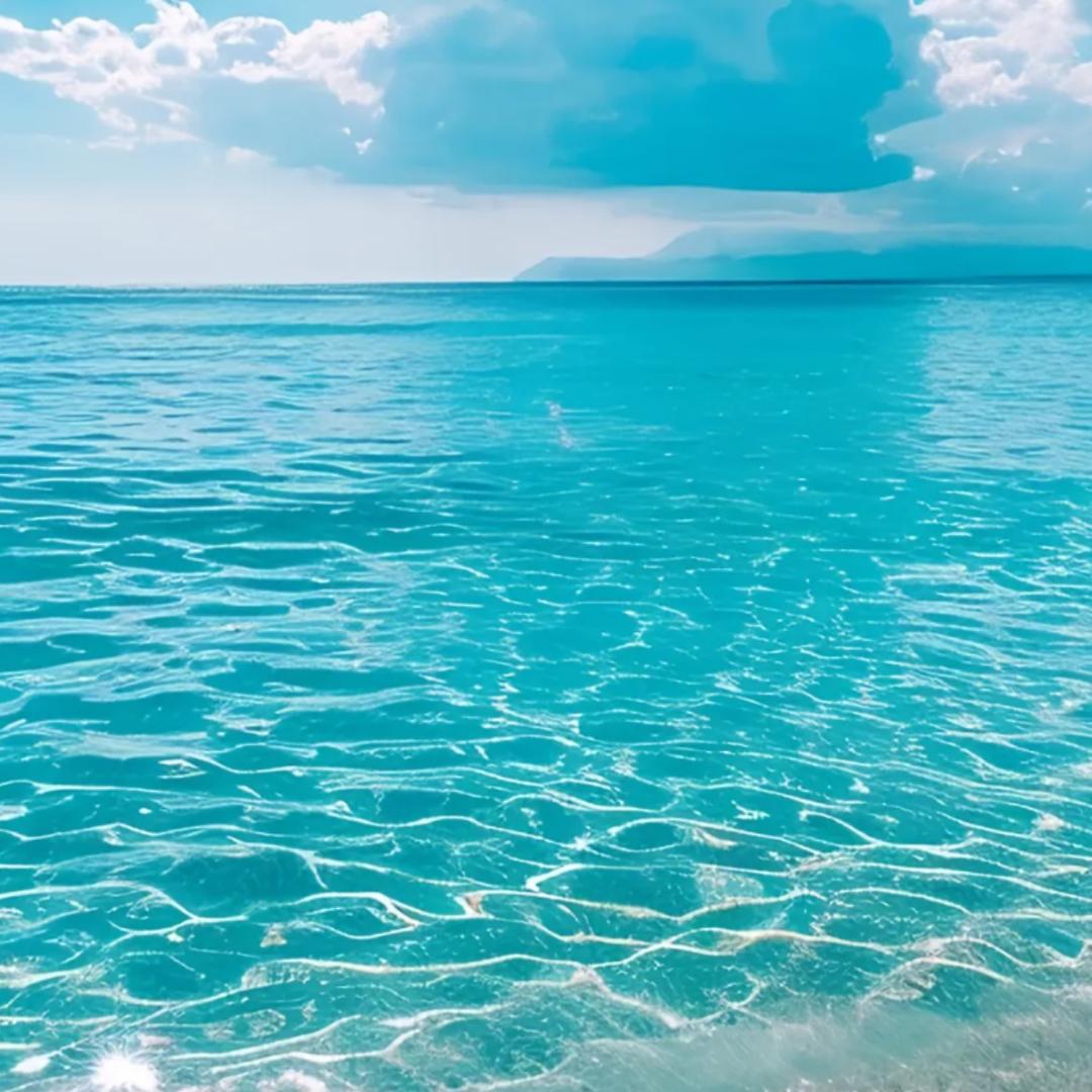 …………………………