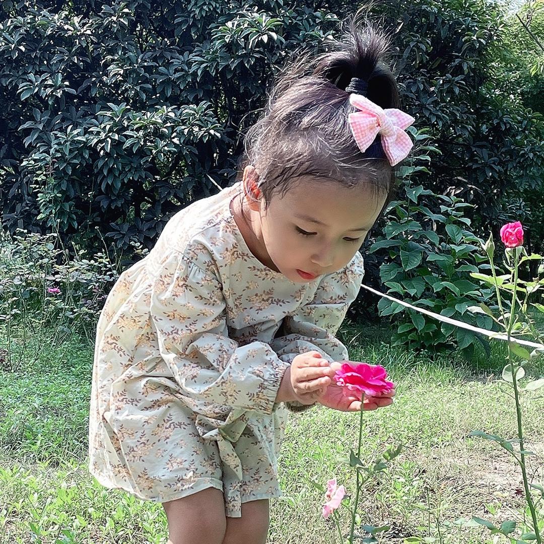 鹿先生的鹿太太