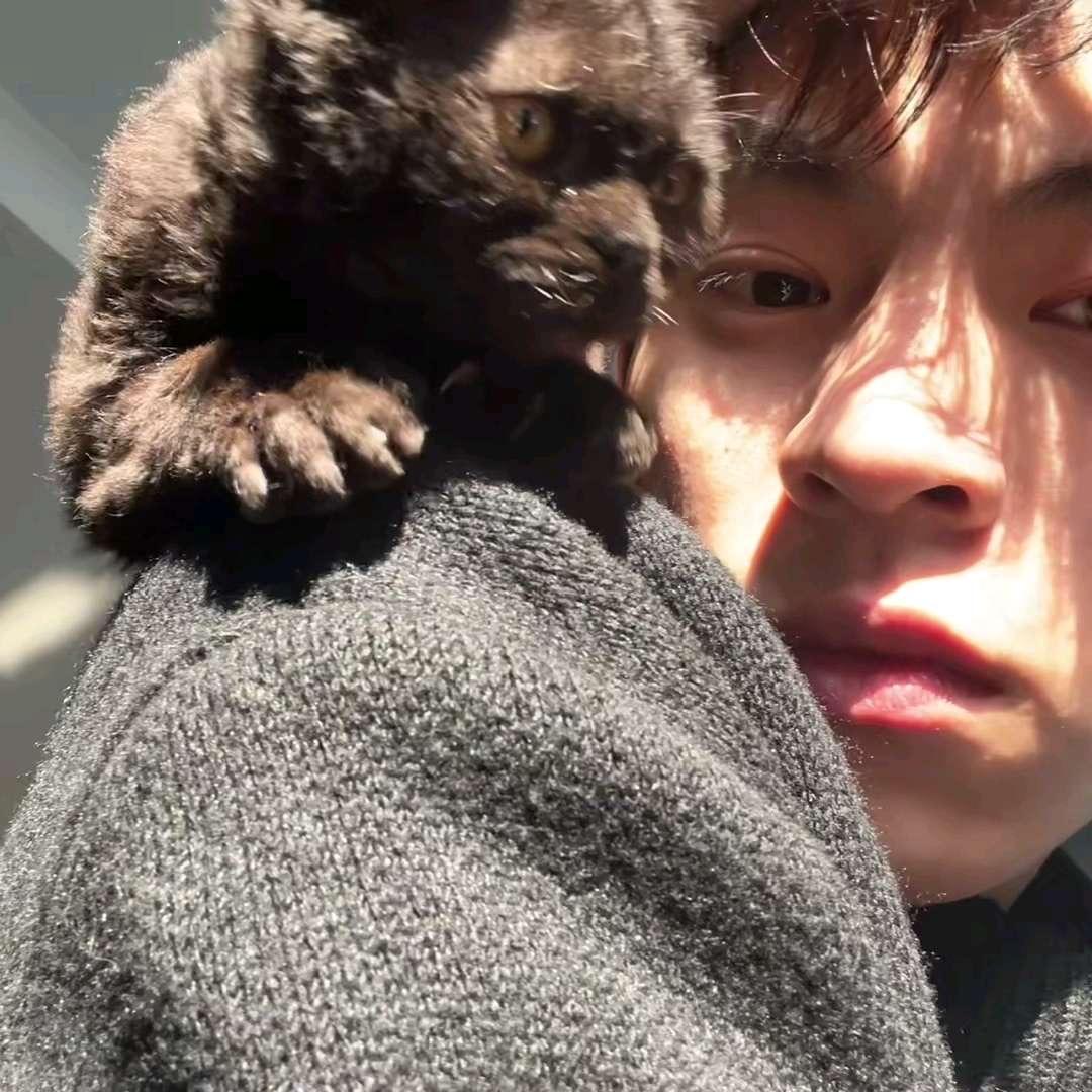 木惜（地铁逃生）