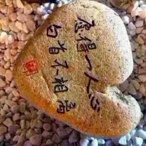 不忘初心