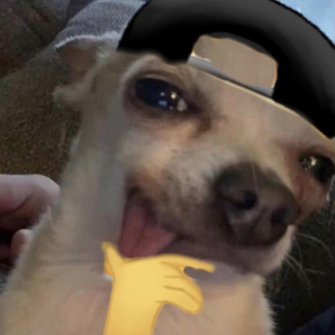 𝗸𝗮𝗶