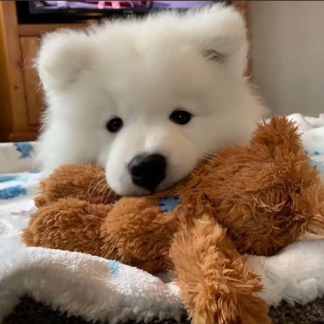 郝劭文种草小超市