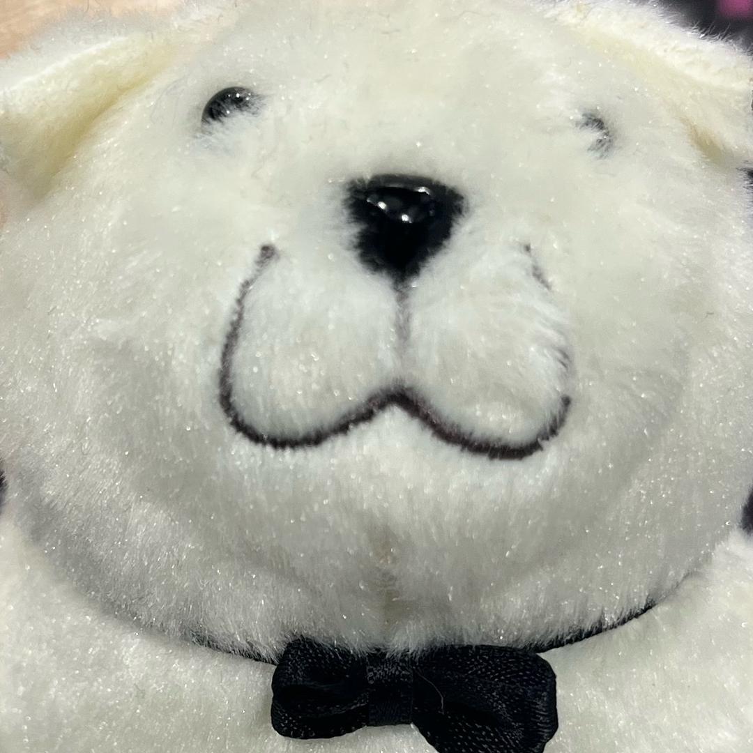 九十九眠