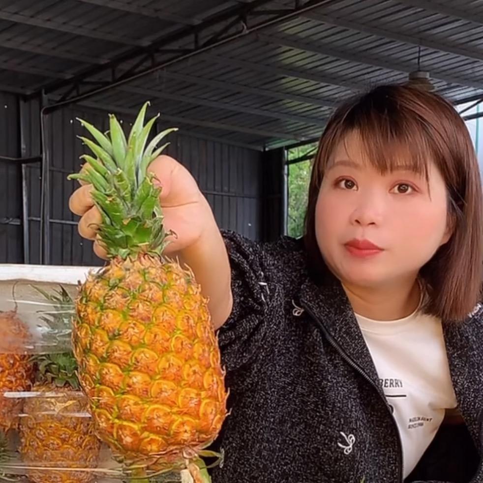 燕子鲜果（凤梨）