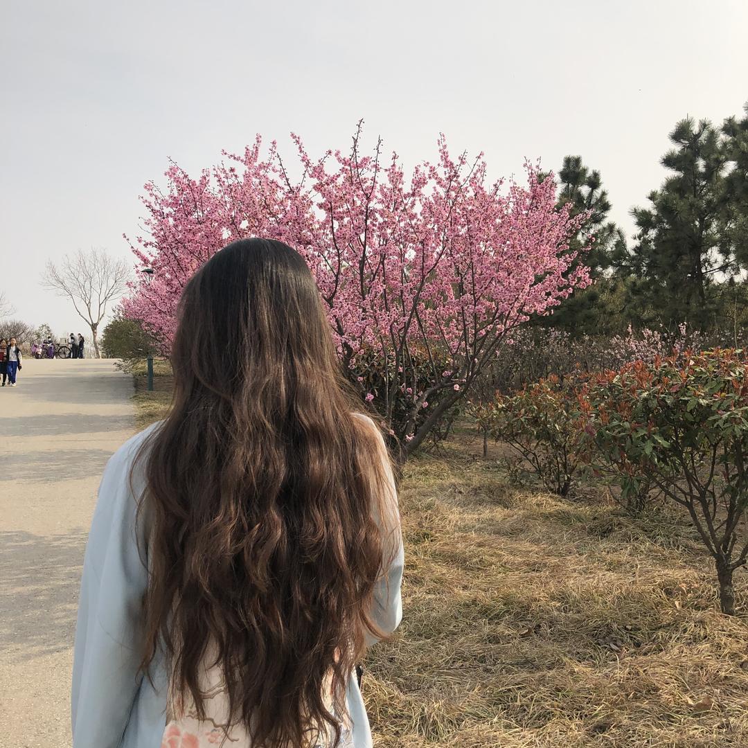天晴了🌾