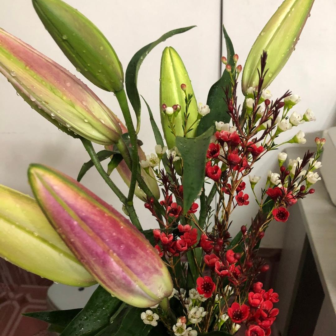 🎊福盈🎊