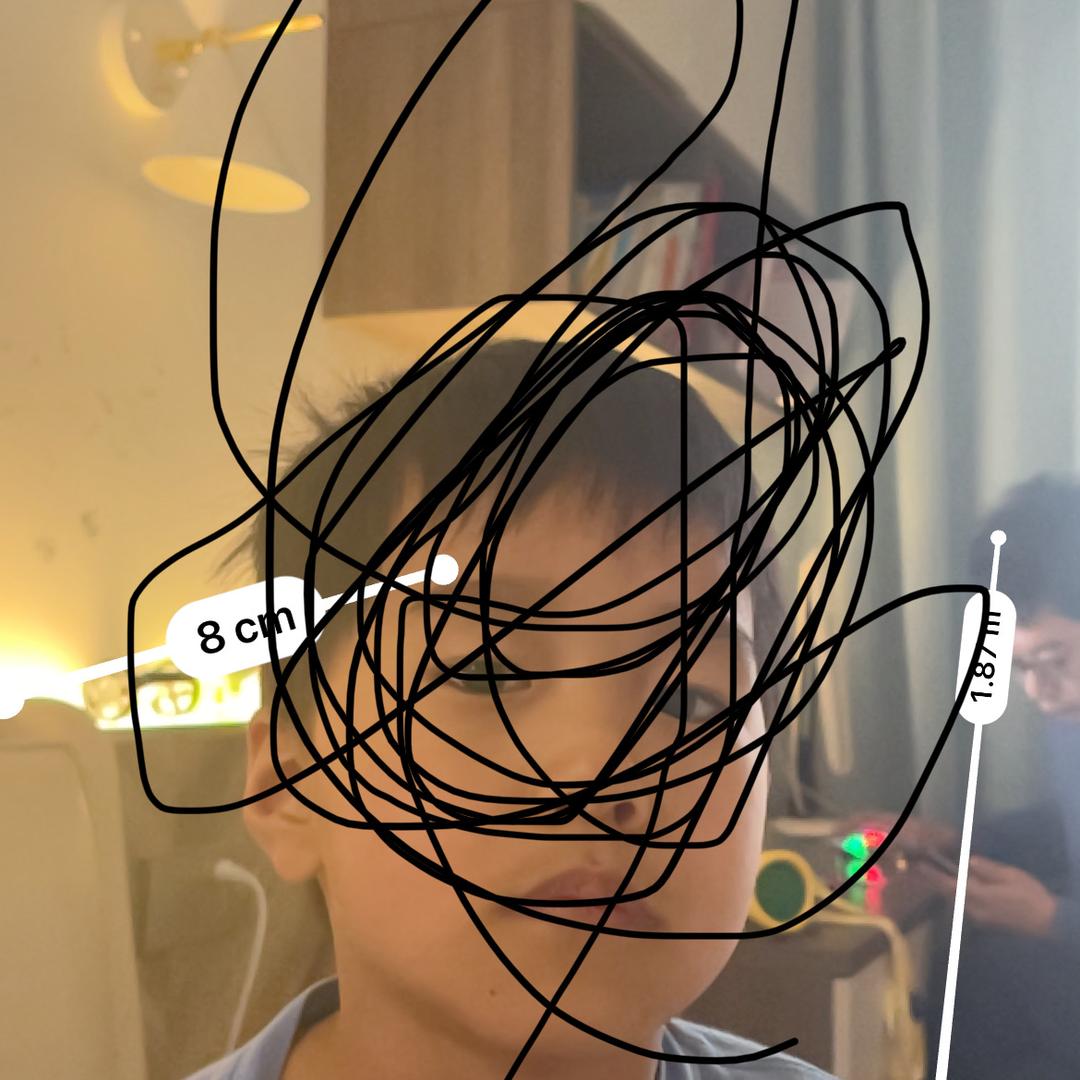 61838674458