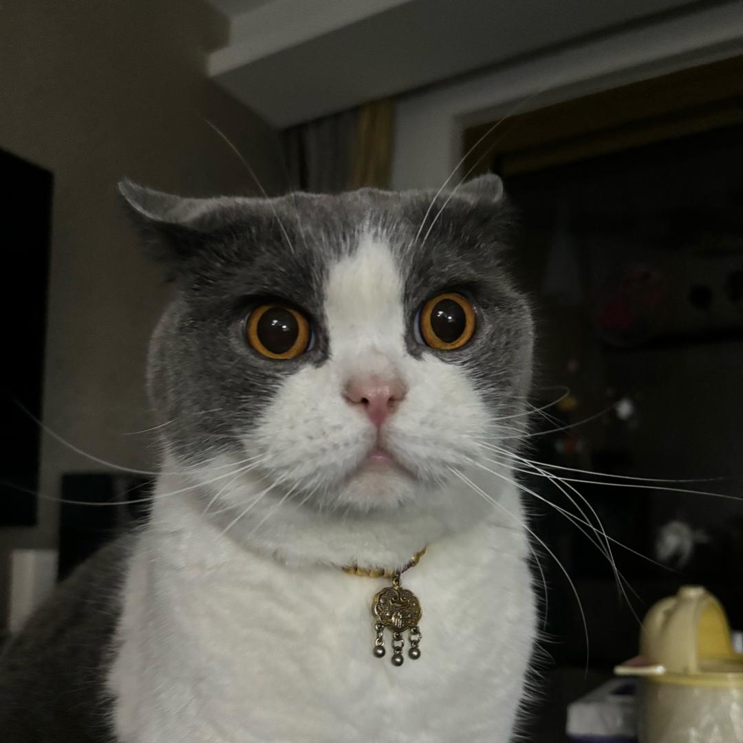 巴伐利亚拖拉机🚜驾驶员