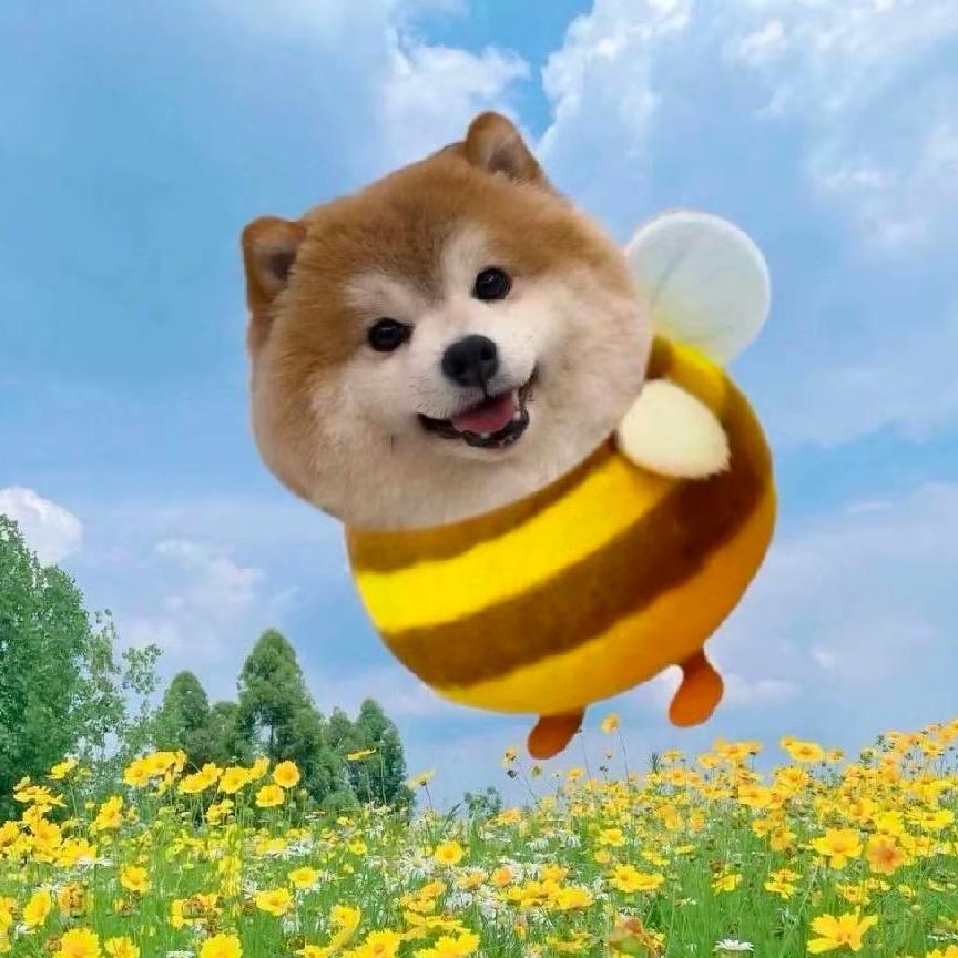 泡芙的爹林大良
