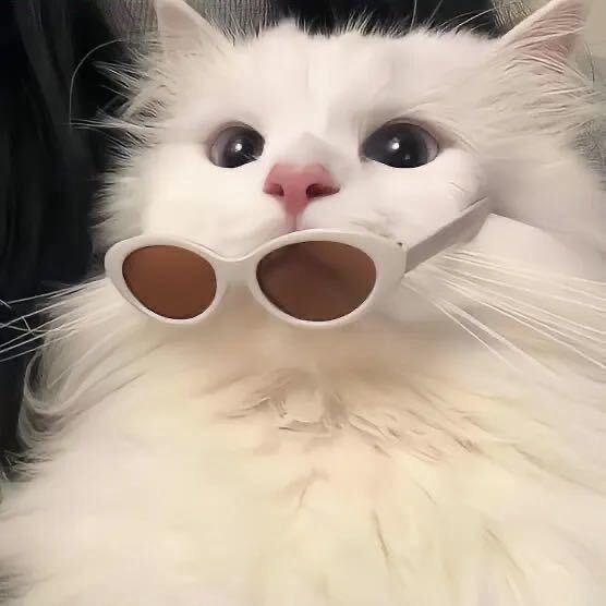 ちゃん