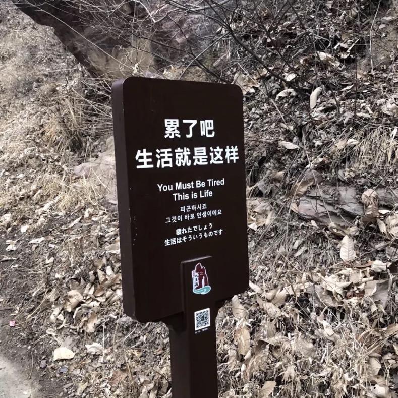 你更容易记得我