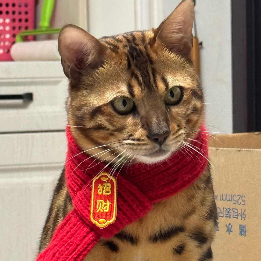 初九和初六