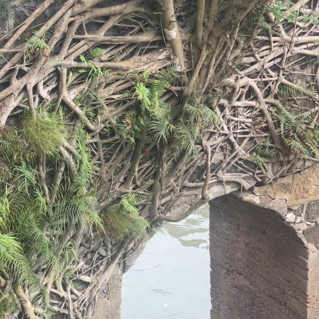 墨白