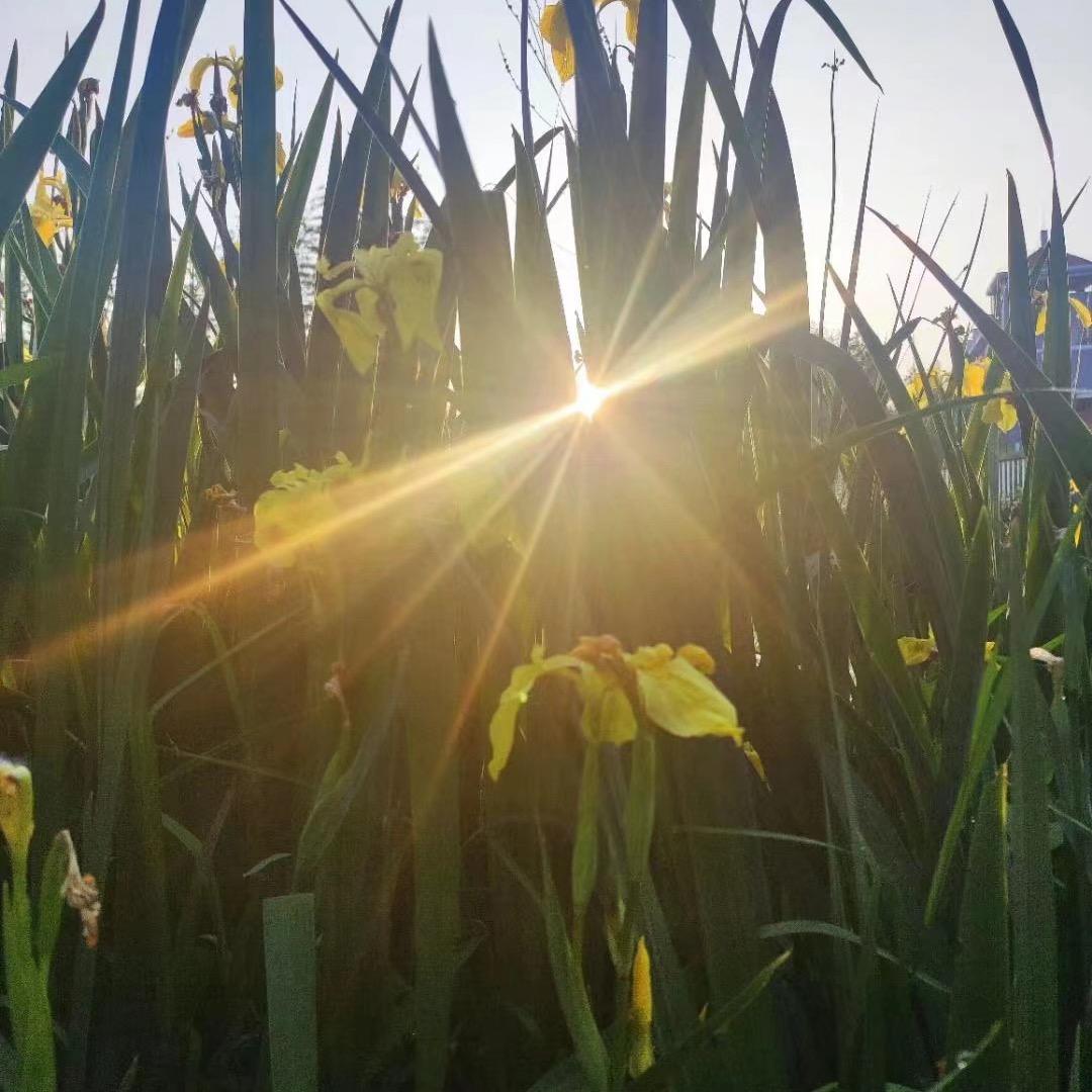 简单的幸福80后