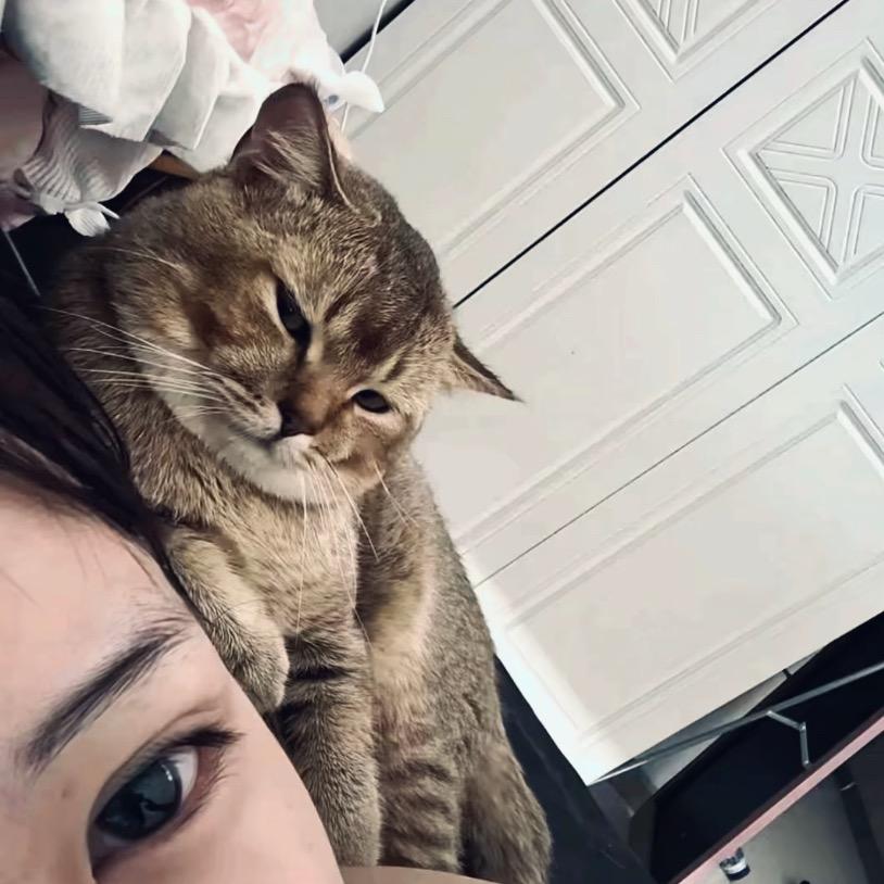 真心总是打水漂