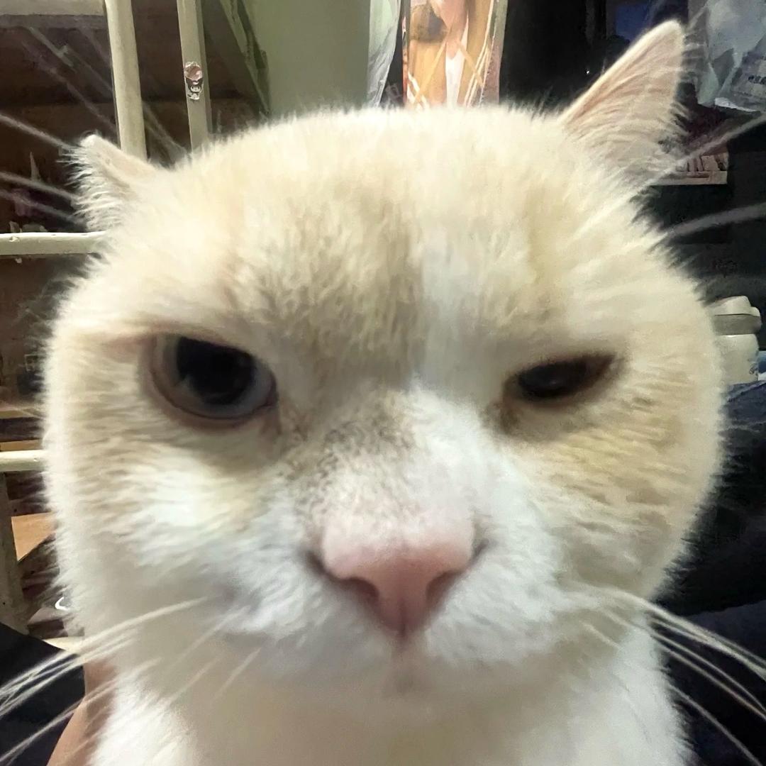 汤包包