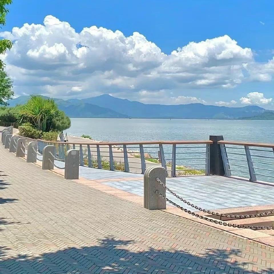 hi新生活